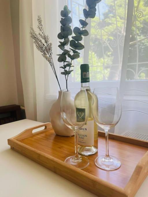 Appartamento Chic Retreat Timisoara Esterno foto